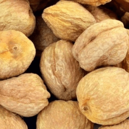 Apricot Medium