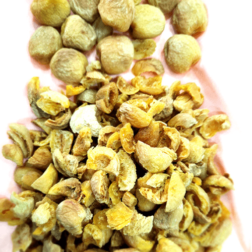 Apricot Tukda