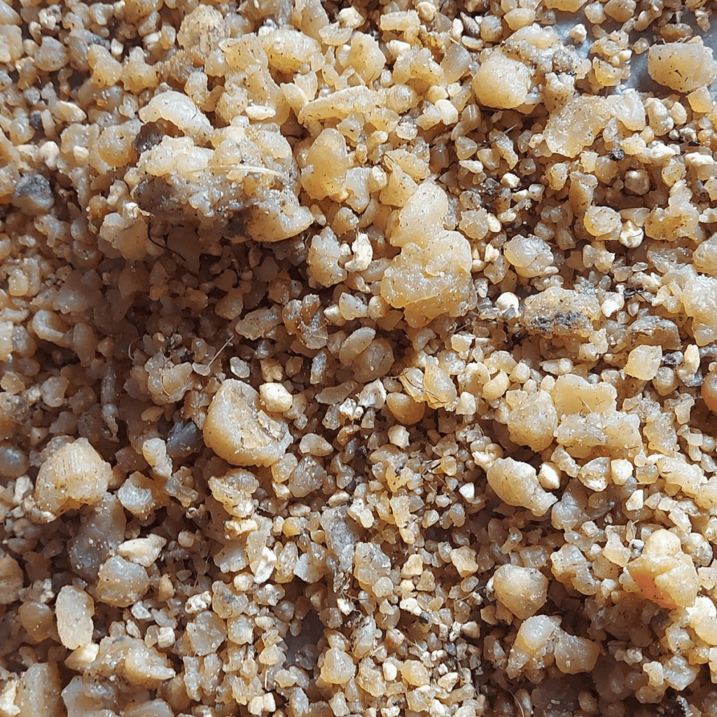 Ujbeki Asafoetida - image 3