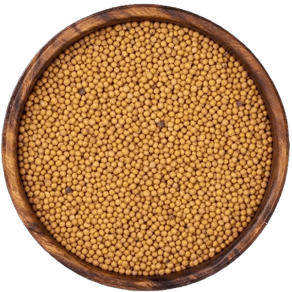 Yellow Mustard